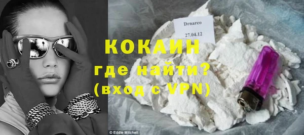 индика Покачи