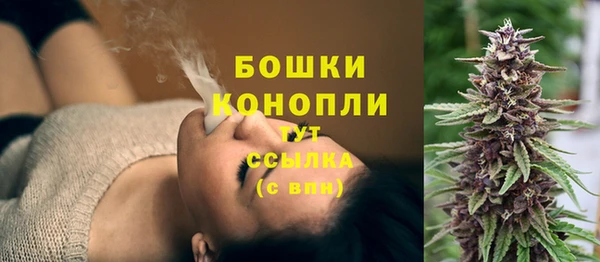 ГАЛЛЮЦИНОГЕННЫЕ ГРИБЫ Покровск