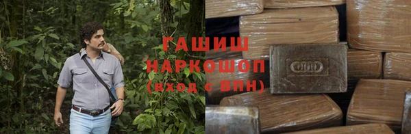 индика Покачи