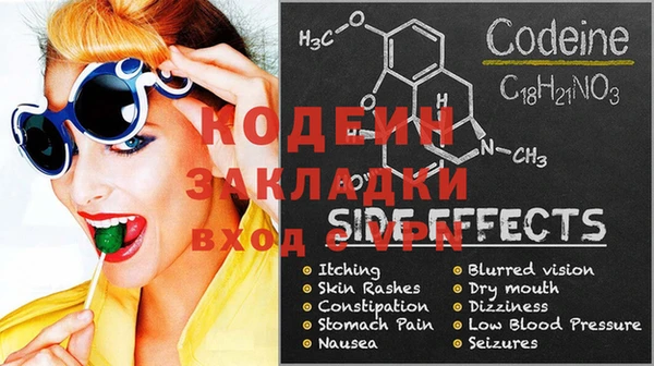 индика Покачи