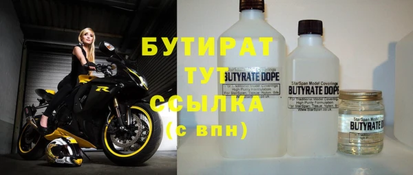 индика Покачи