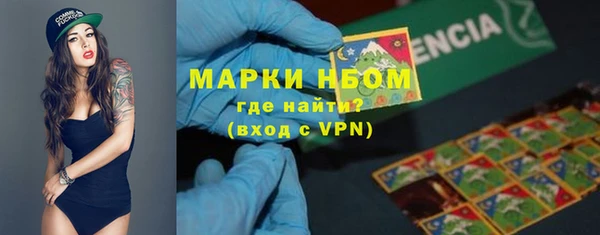 индика Весьегонск