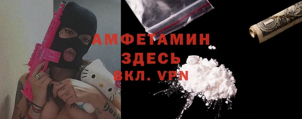 индика Покачи