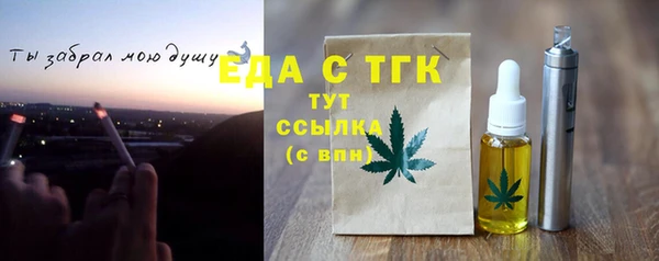индика Покачи