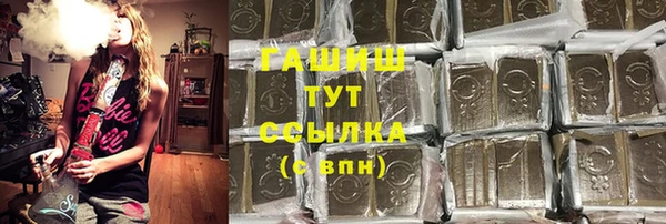 индика Покачи