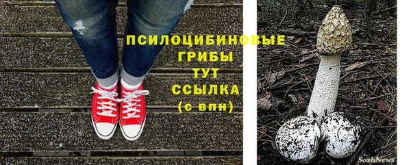 индика Приозерск