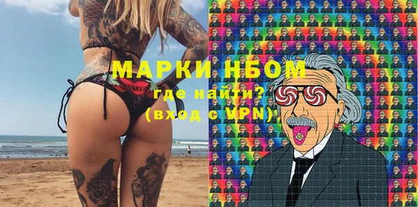 индика Приозерск