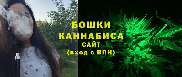 ГАЛЛЮЦИНОГЕННЫЕ ГРИБЫ Покровск