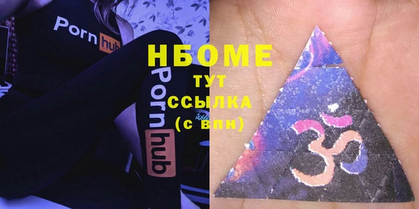 индика Приозерск