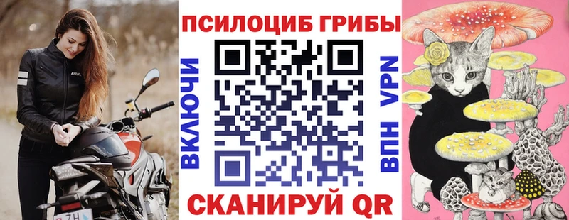 Галлюциногенные грибы Cubensis  shop официальный сайт  Спас-Клепики  купить  сайты 